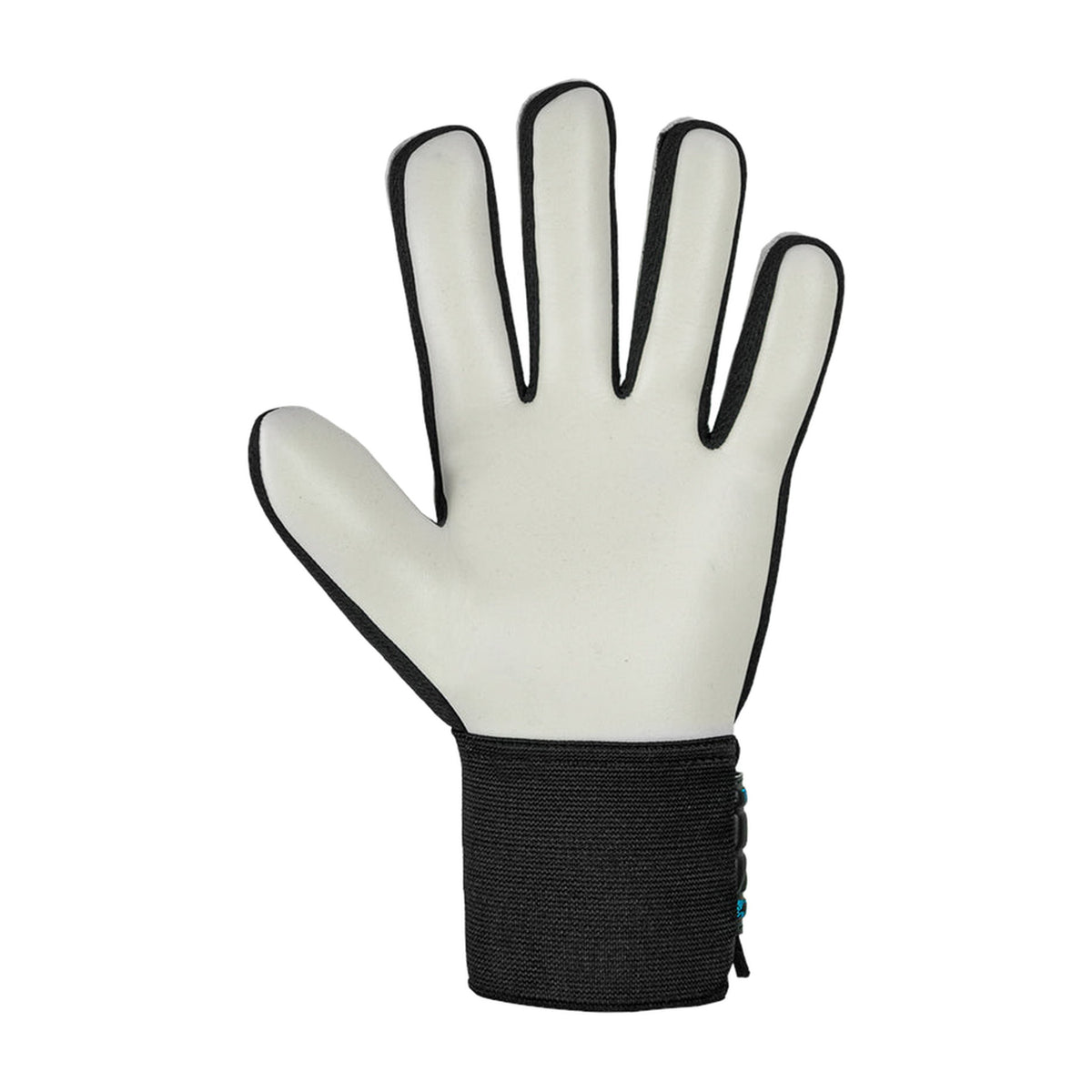 Guantes de arquero Reusch Attrakt Solid Niños Negro Verde Azul – palma